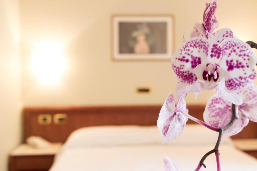 Palace Hotel Civitanova Marche Eksteriør billede